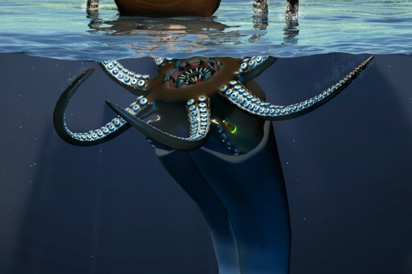 Kraken брутфорс сайта
